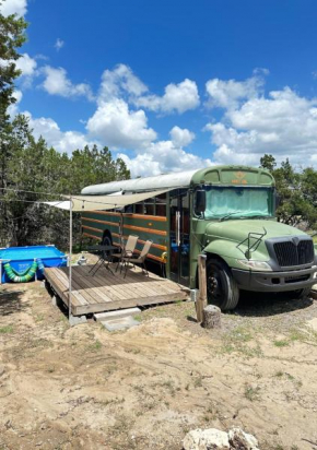 Winter Retreat on Tranquil 10 Acres with Starlink Internet